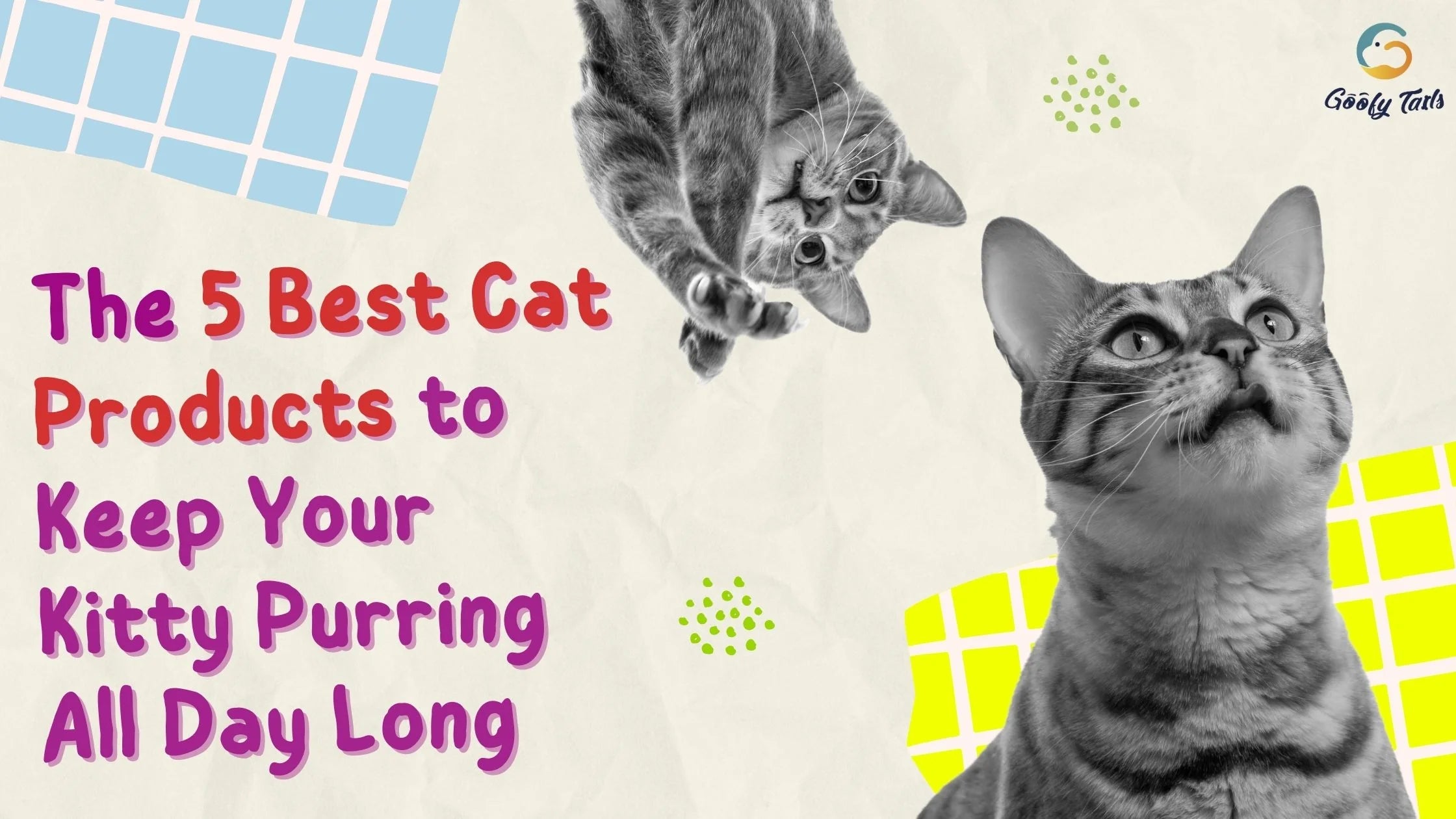 The 5 Best Cat Products to Keep Your Kitty Purring All Day Long blog banner
