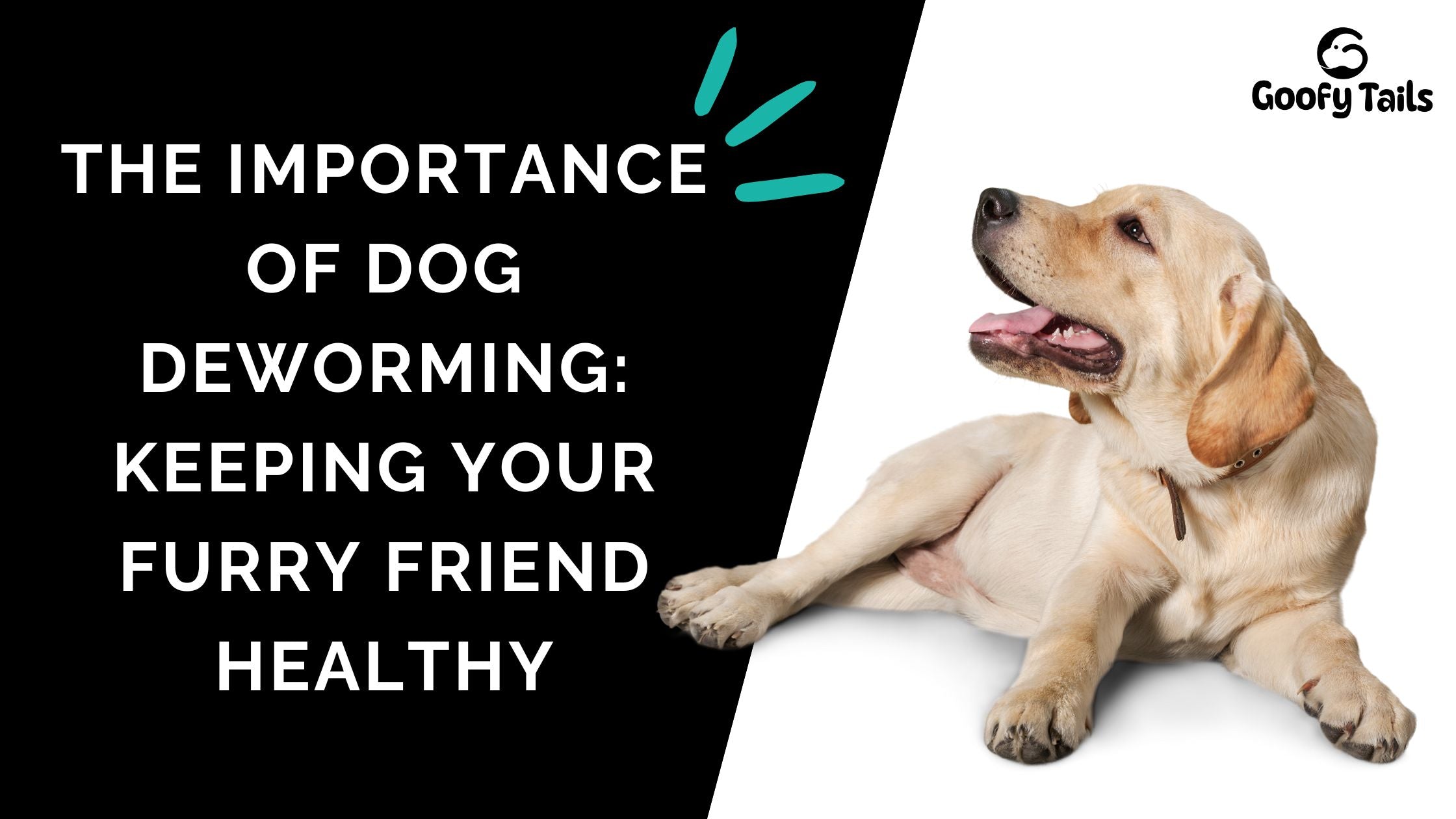 The Importance of Dog Deworming: Keeping Your Furry Friend Healthy