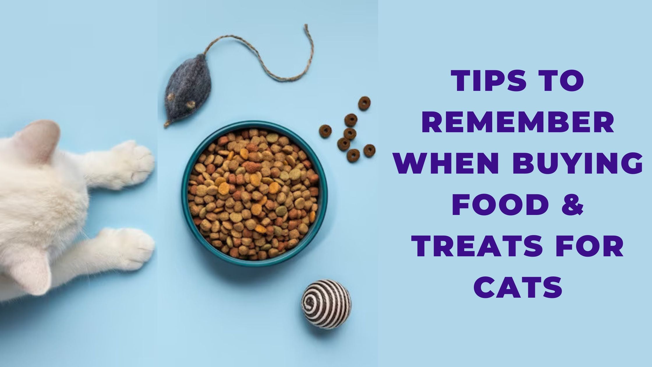 Tips To Remember When Buying Food & Treats For Cats
