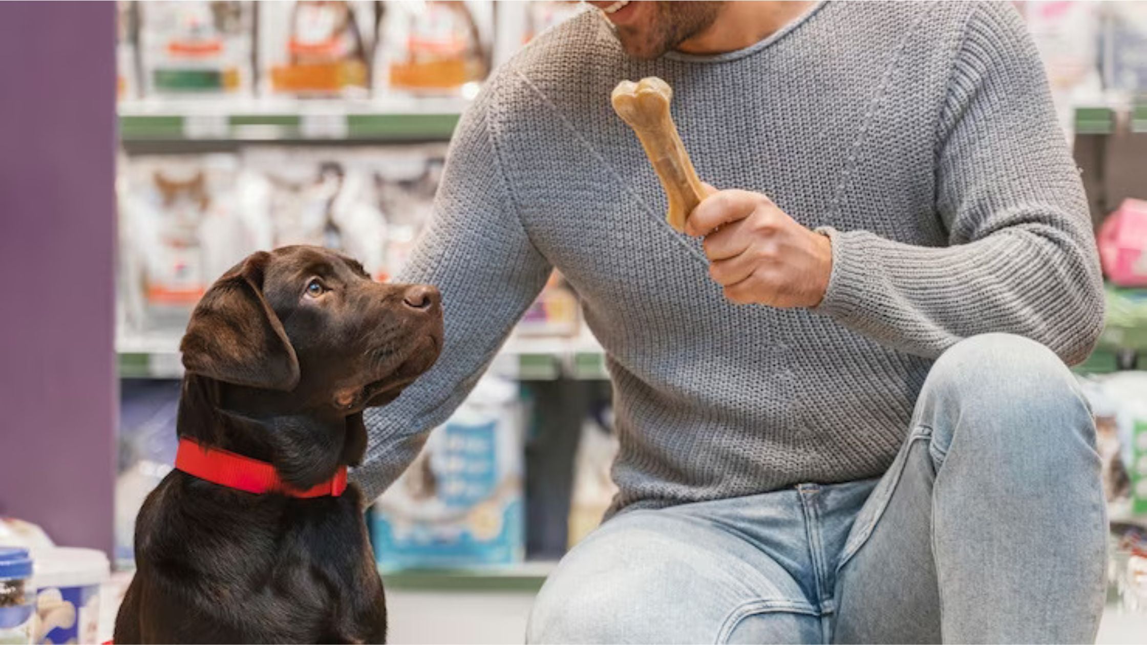 Tips To Remember When Buying Treats & Food For Dogs