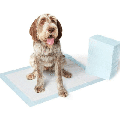 Why are puppy pee pads, puppy training aid important when one adopts a puppy?
