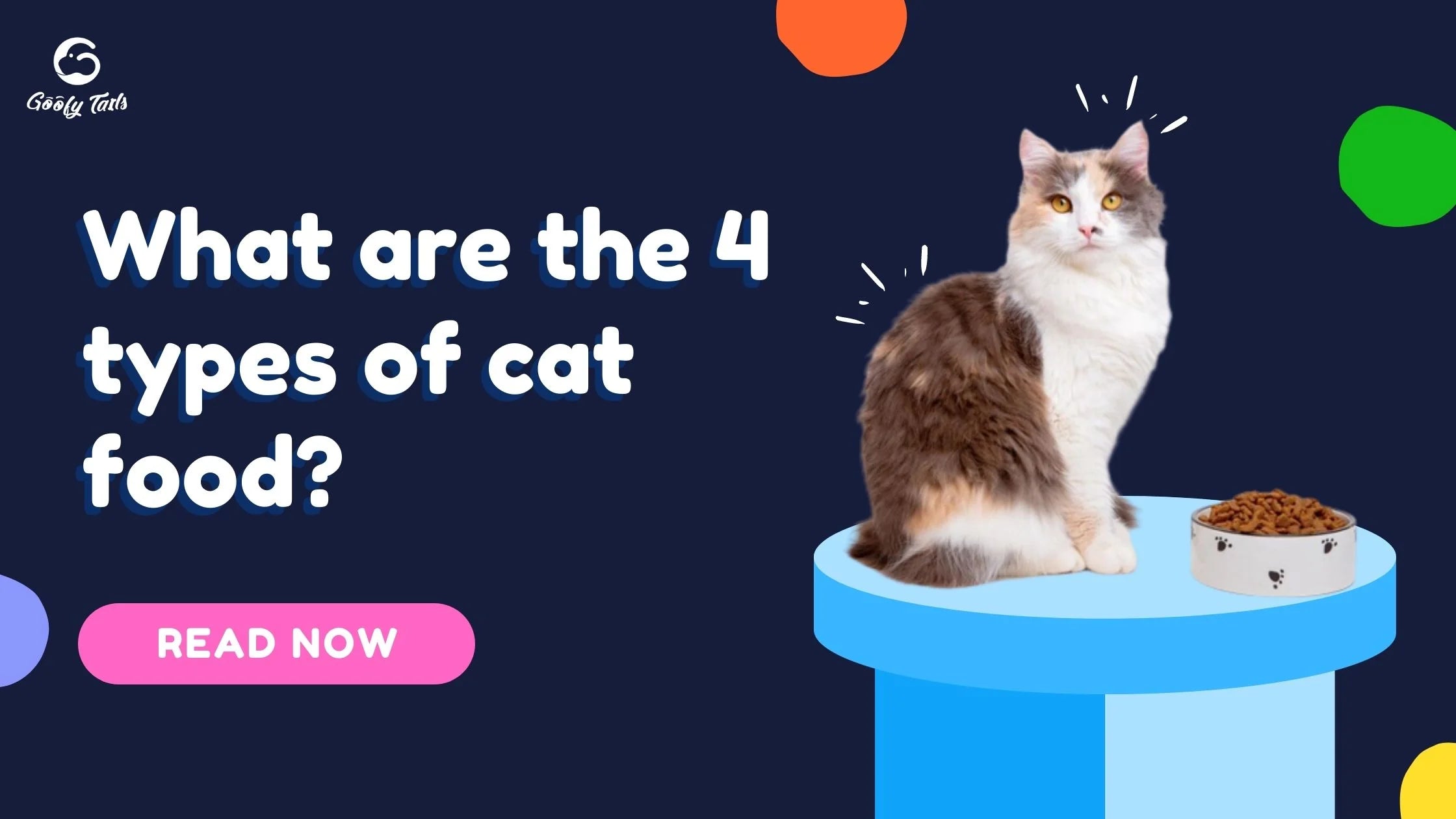 What are the 4 types of cat food? 
