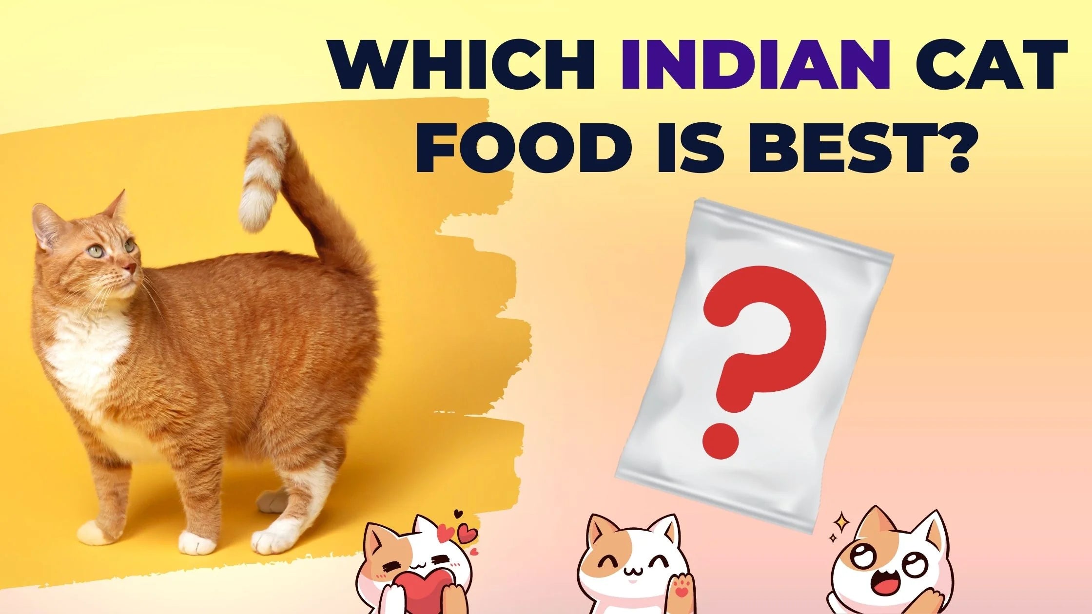 Which Indian cat food is best?