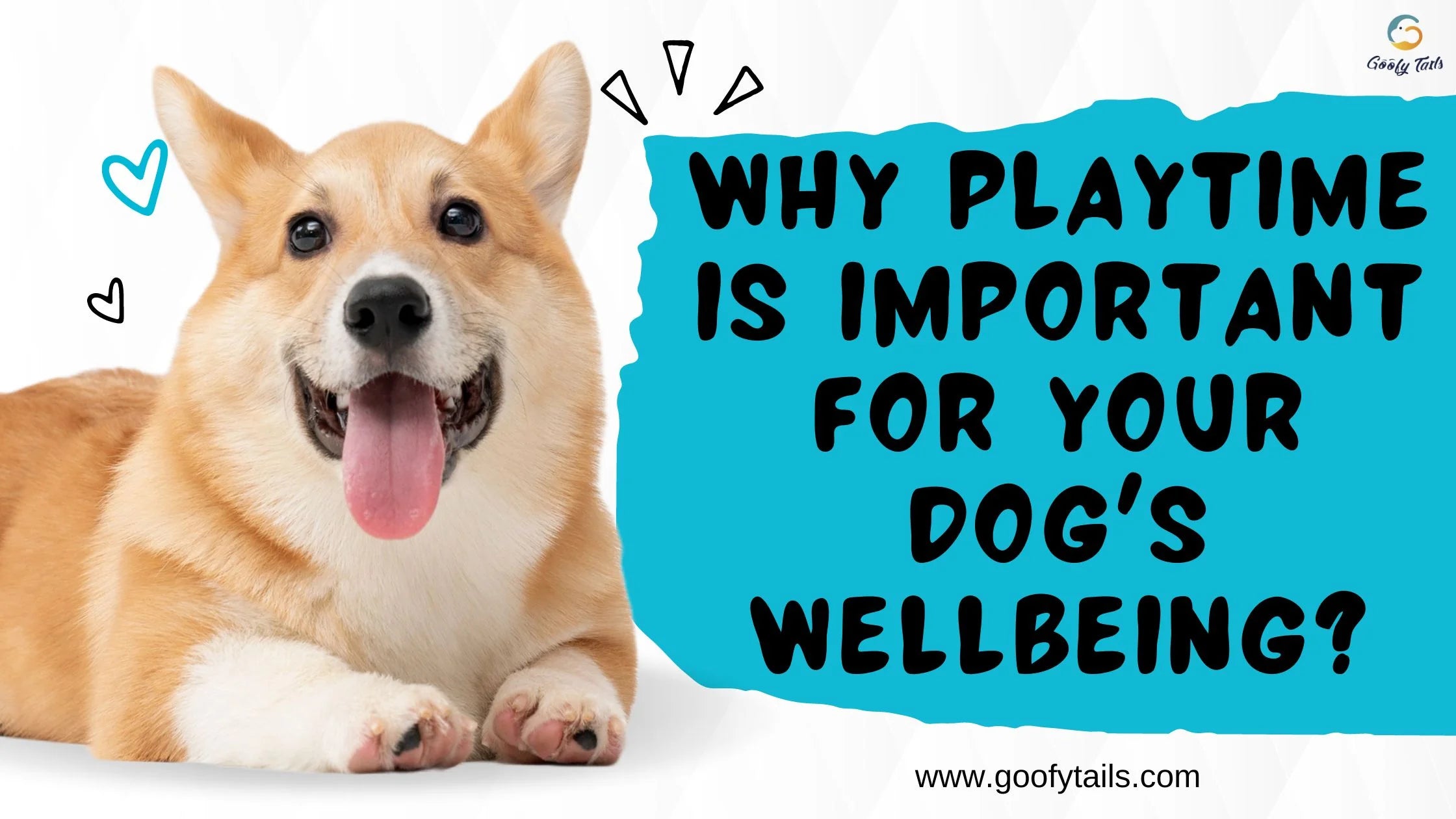 Why Playtime is Important for Your Dog's Wellbeing