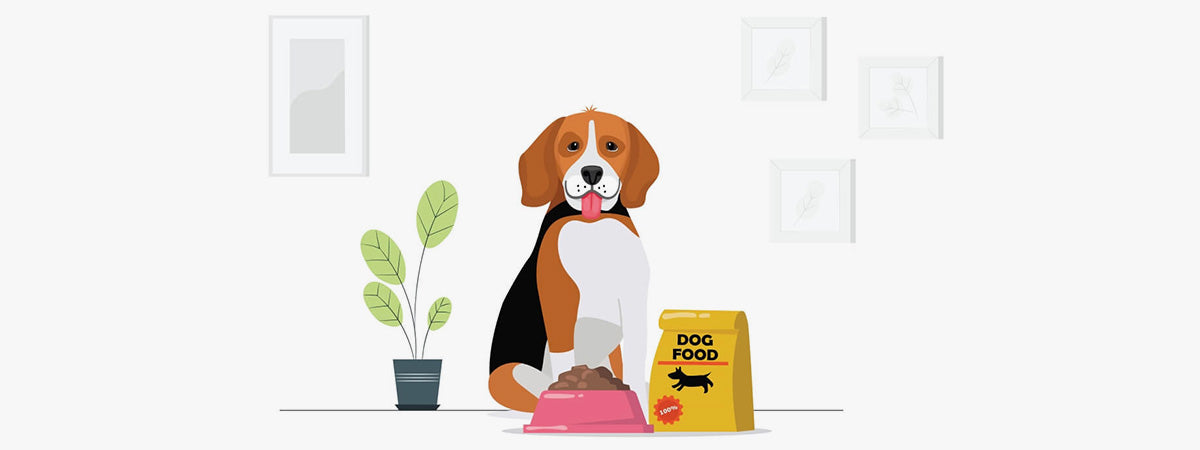 Puppy Nutrition – Are You Feeding Your Pooch Right?