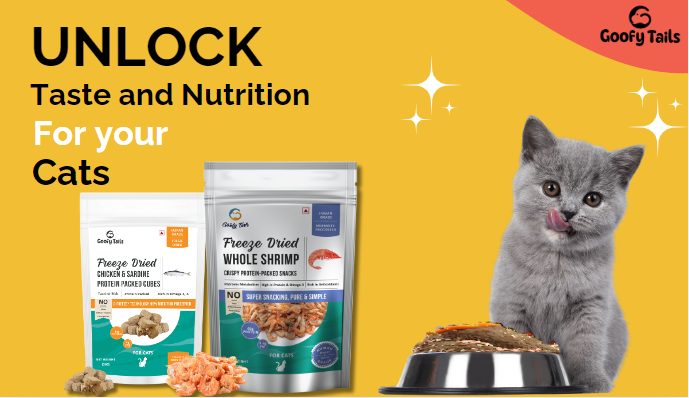 Unlocking Taste, Nutrition and Rewards - Freeze Dried Treats for Cats and Dogs