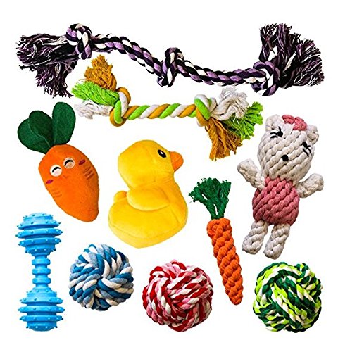 Picking the right dog toy