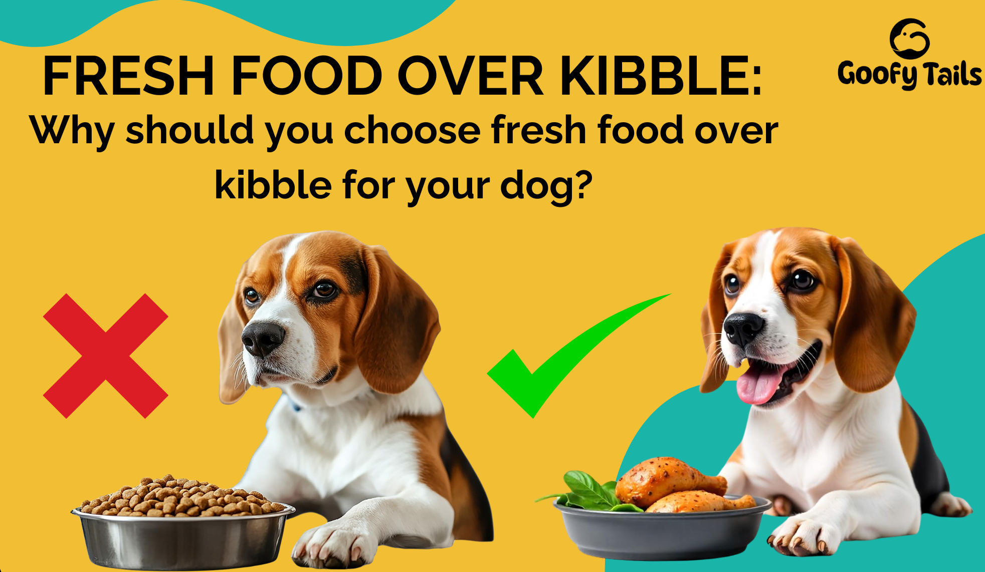 Why should you choose fresh-food and avoid kibble for your dog?