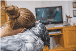 6 MOVIES TO WATCH WITH YOUR DOG