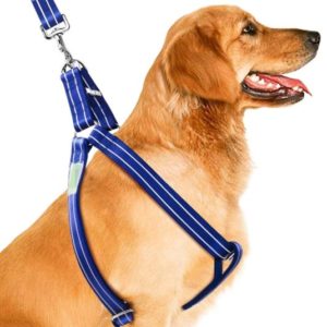 Selecting a harness can be tricky! How to select the right harness for your dog?