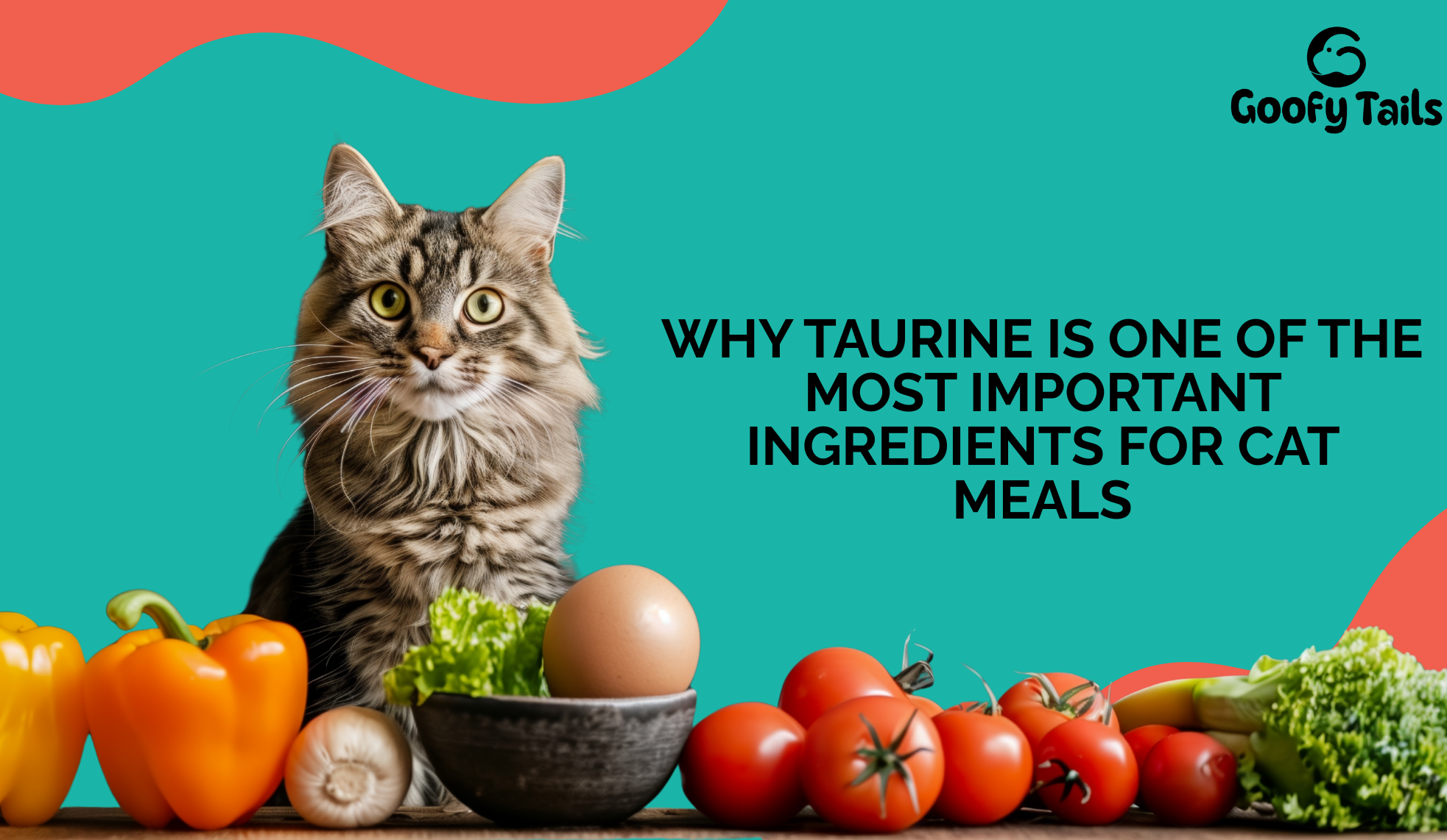Why Taurine Is One of the Most Important Ingredients for Cat Meals