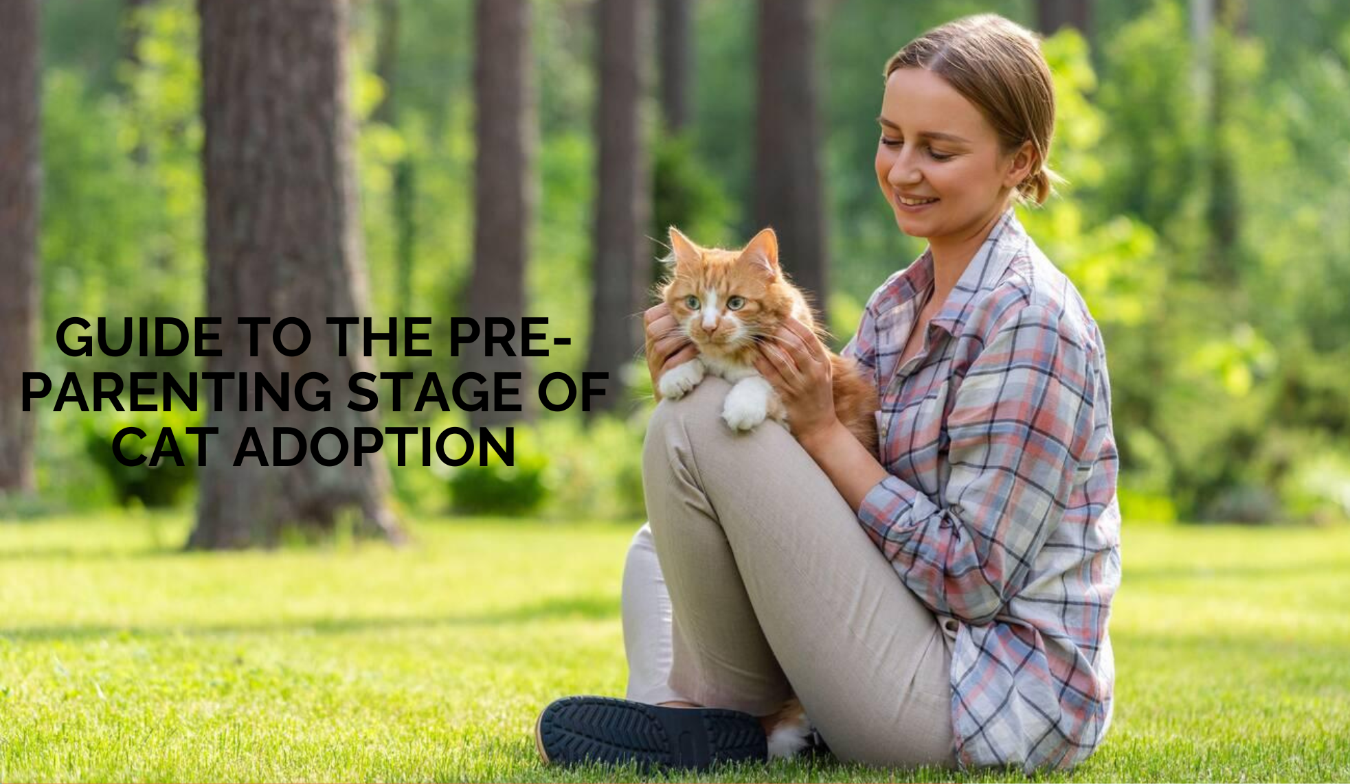 Guide to the Pre-Parenting Stage of Cat Adoption