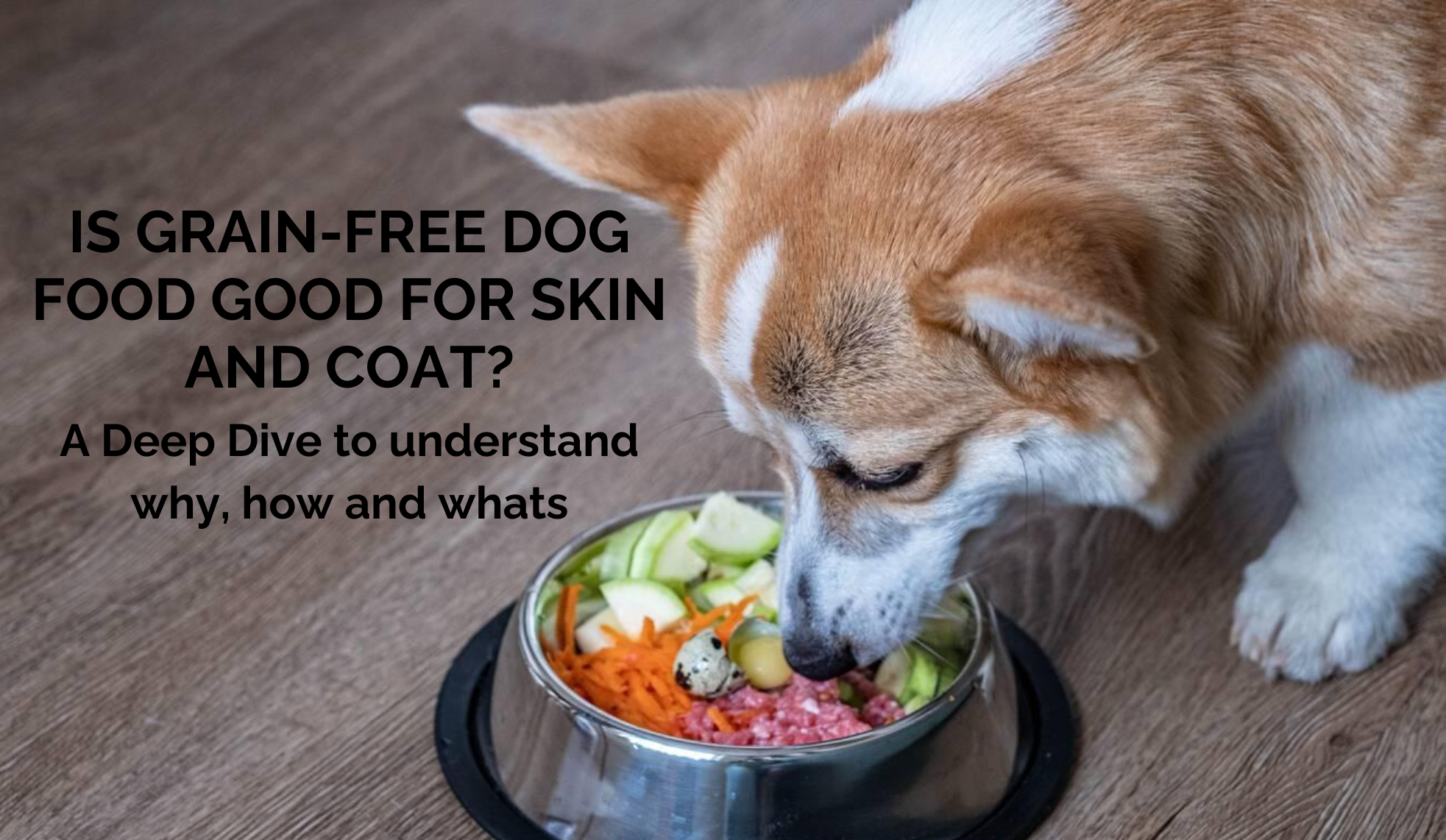 Is Grain-Free Dog Food Good for Skin and Coat Health?