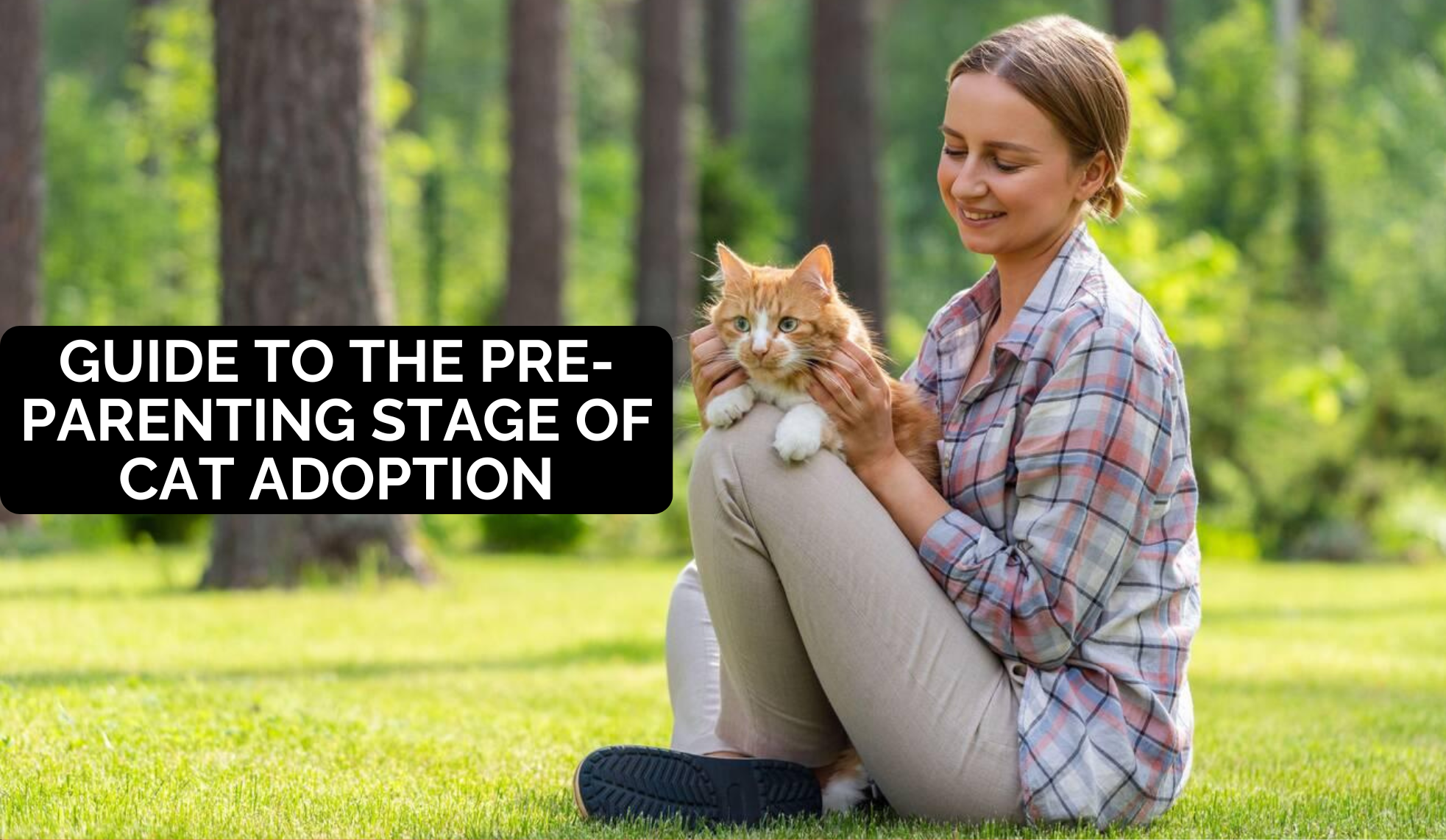 Guide to the Pre-Parenting Stage of Cat Adoption