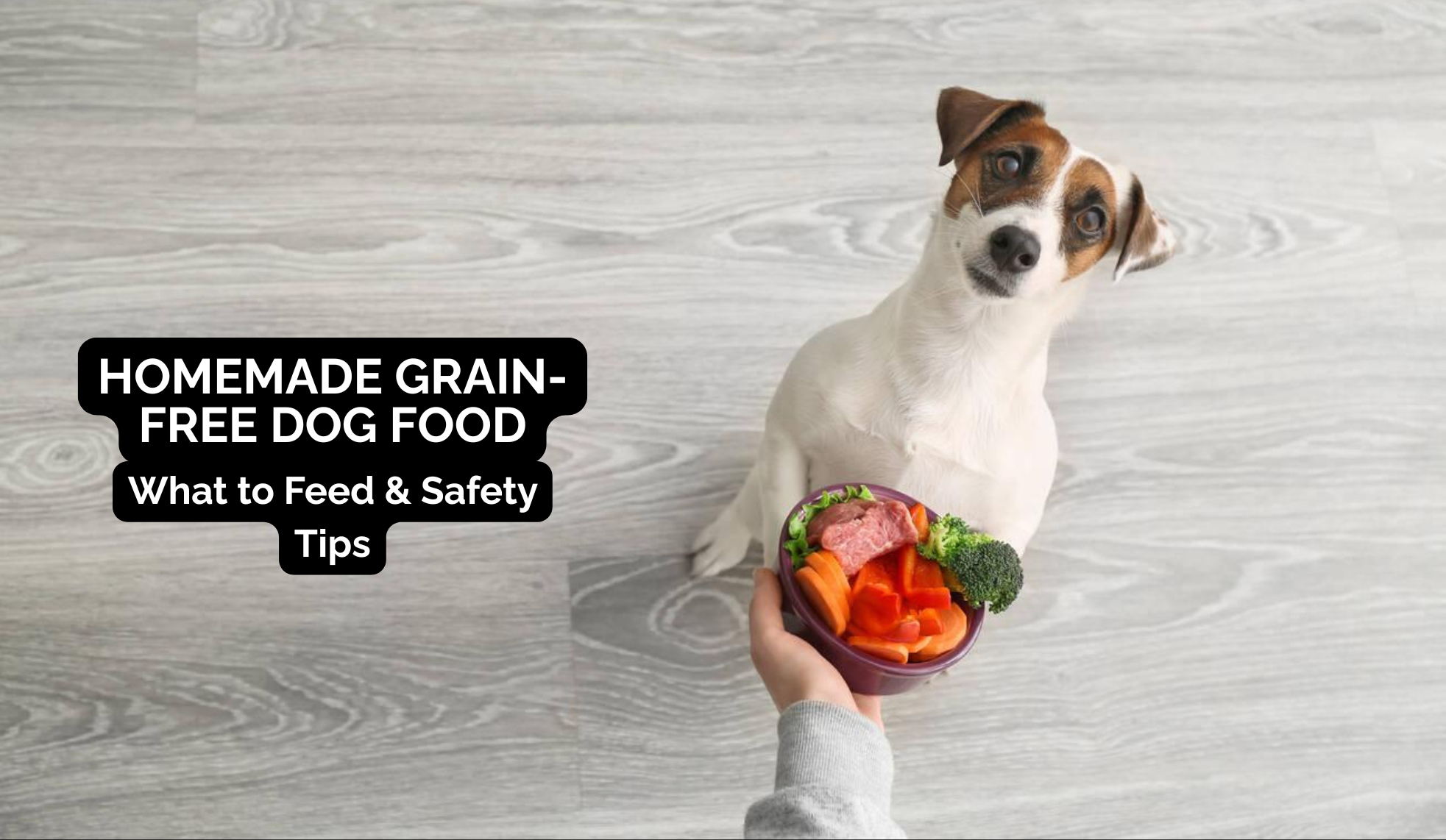 Homemade Grain-Free Dog Food: What to Feed & Safety Tips