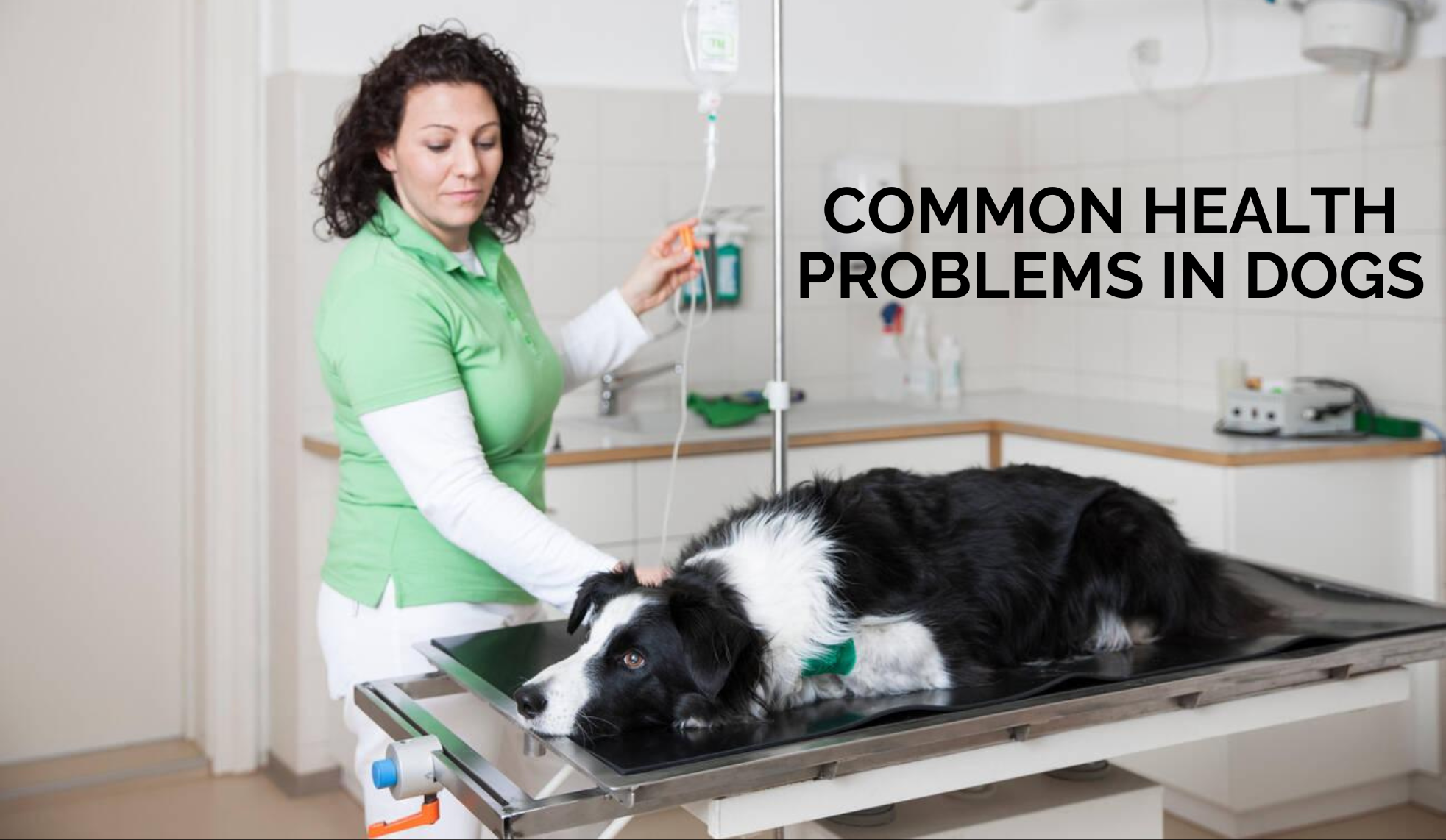 Common health problems in Dogs
