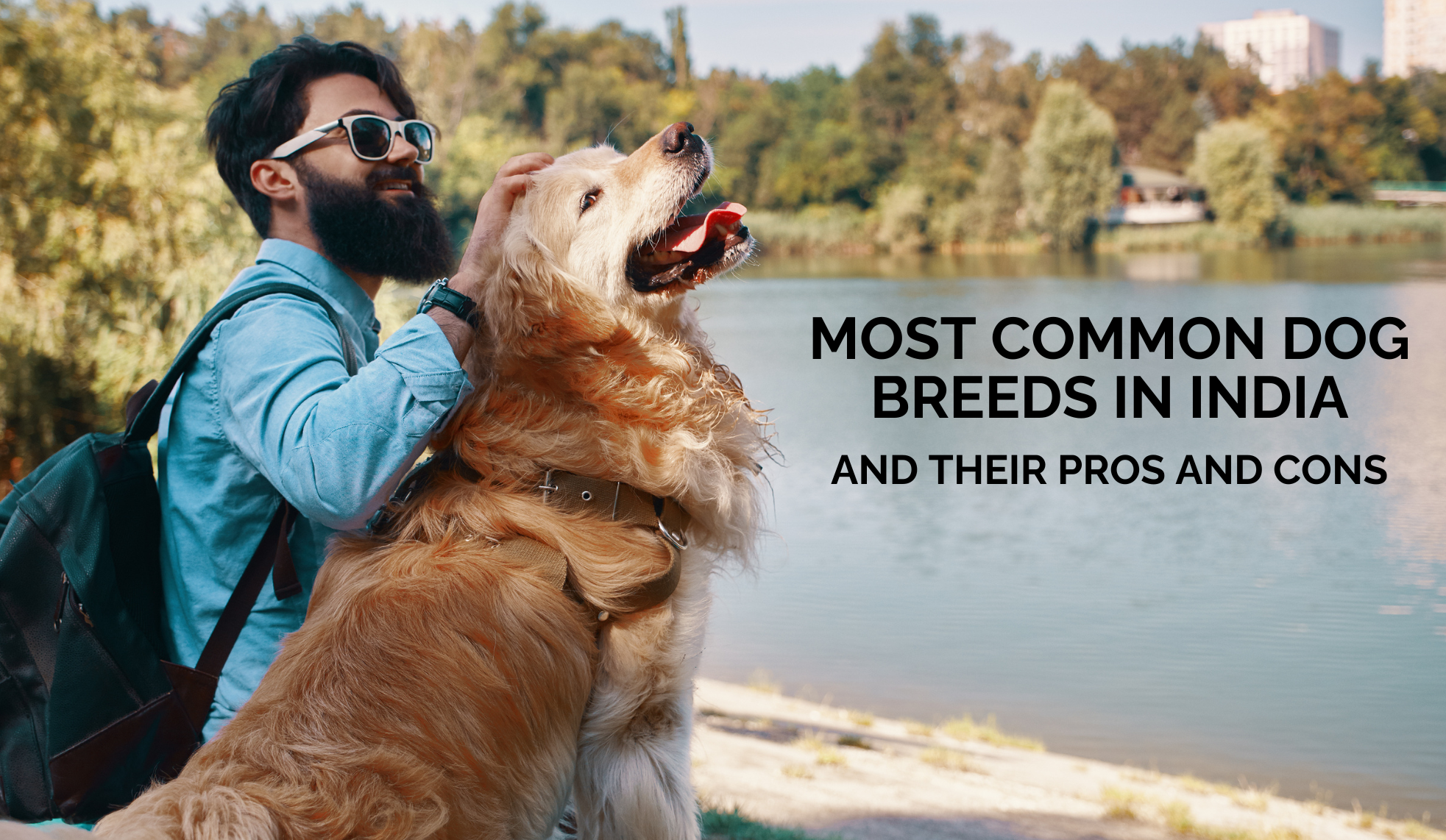 Top 10 Dog Breeds in India: Pros and Cons