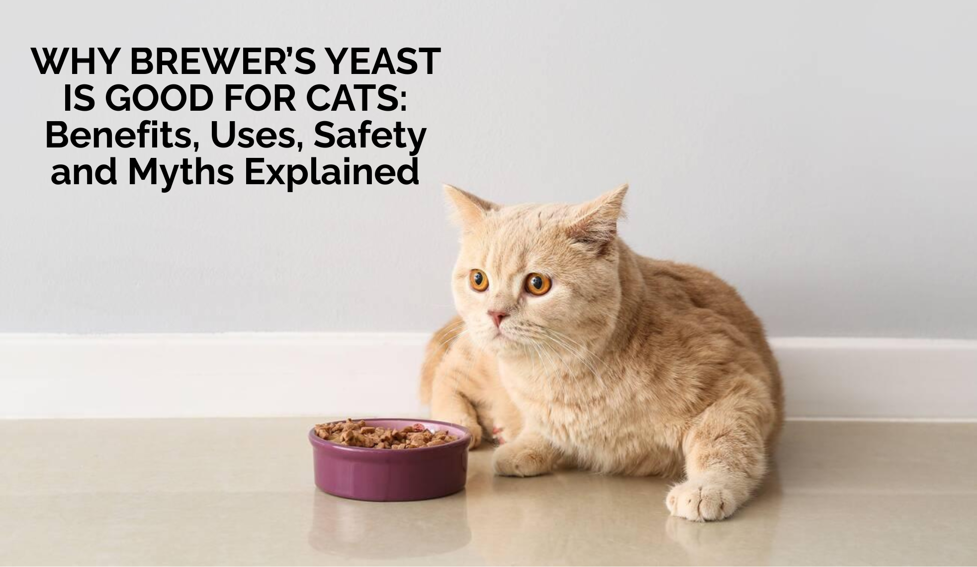 Why Brewer’s Yeast Is Good for Cats: Benefits, Uses, Safety, and Myths Explained