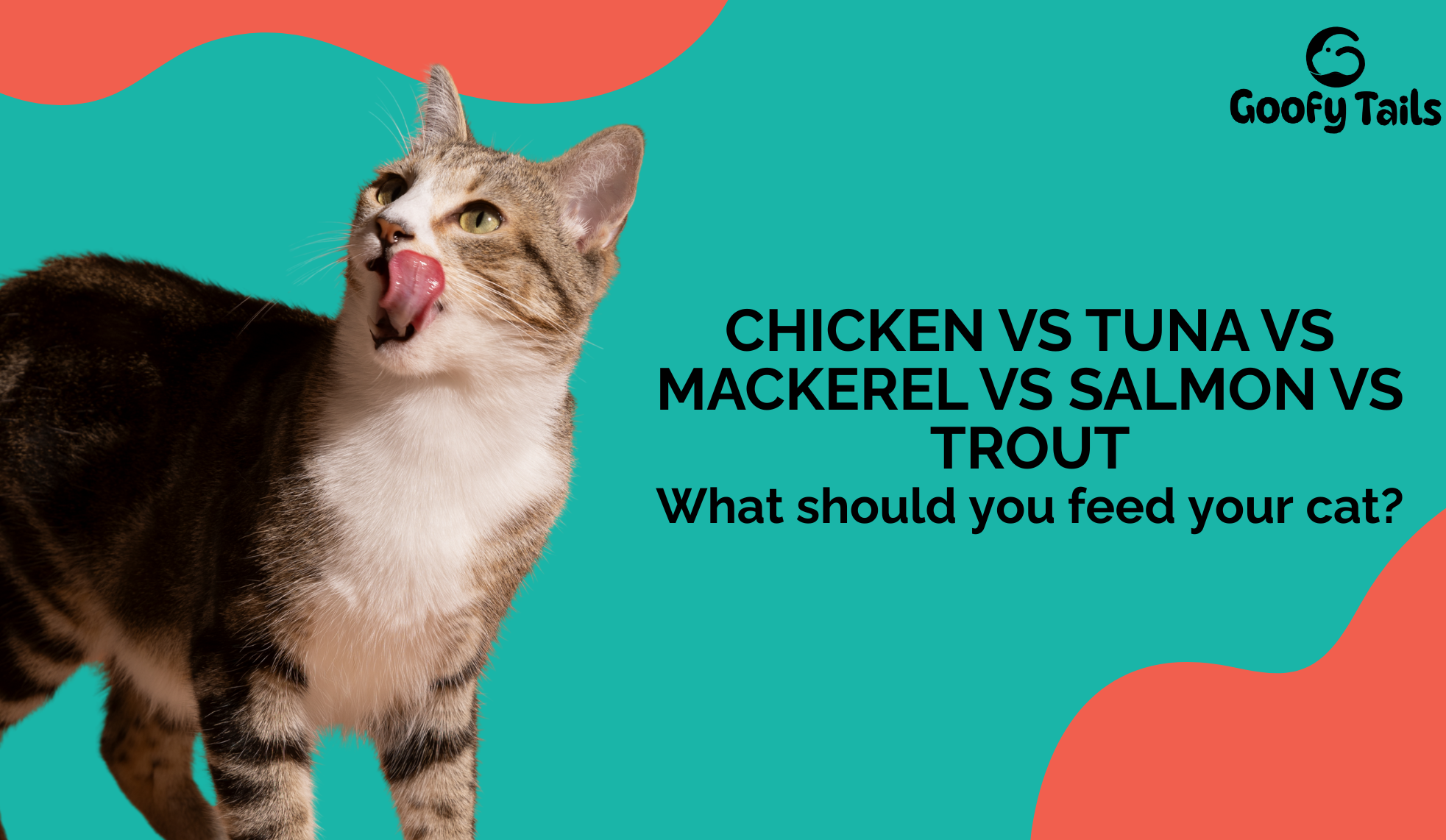 What To feed your Cat; Chicken vs Tuna vs Mackerel vs Salmon vs Trout