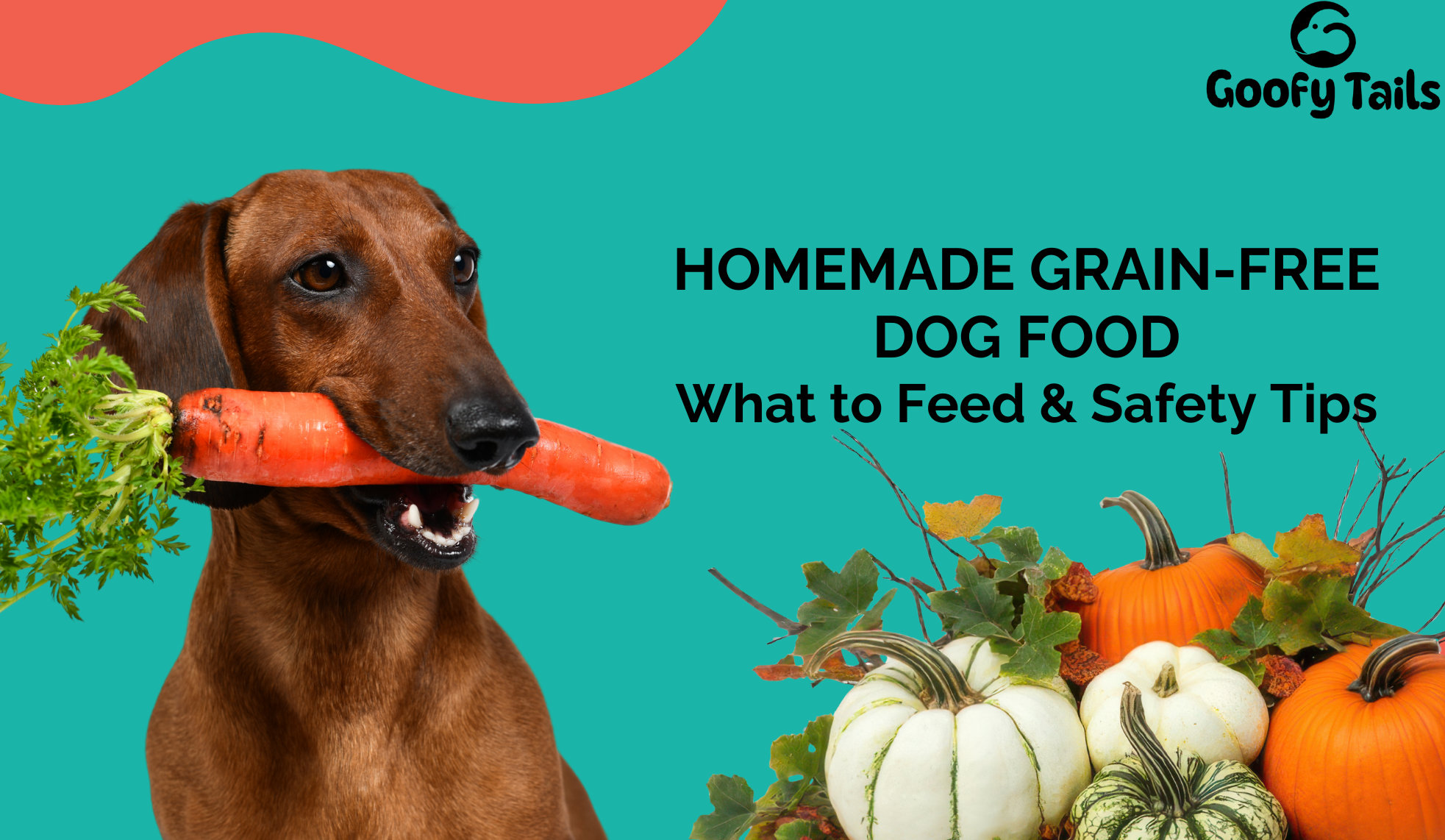 dachshund with carrot in mouth
