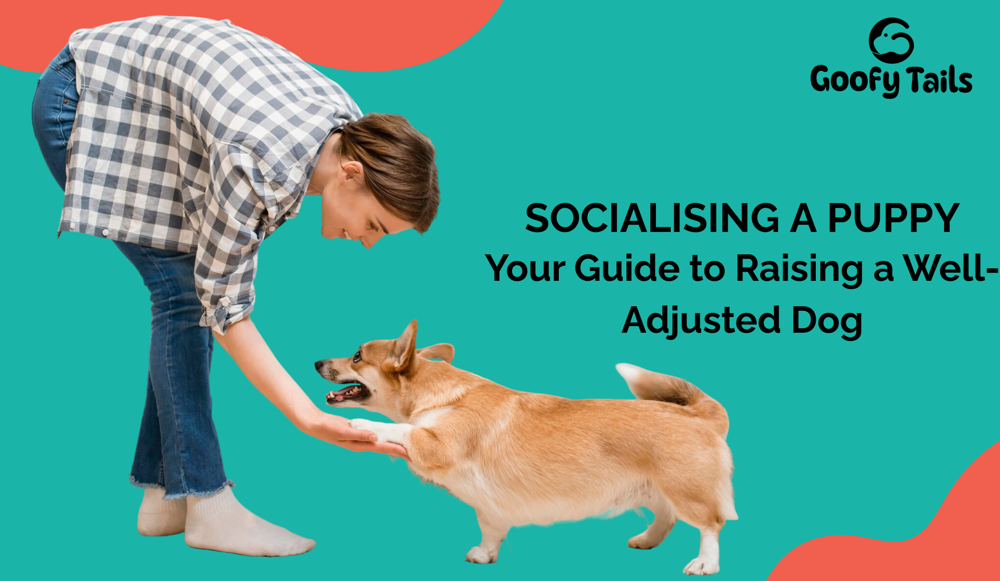 Socialising a Puppy: Your Guide to Raising a Well-Adjusted Dog