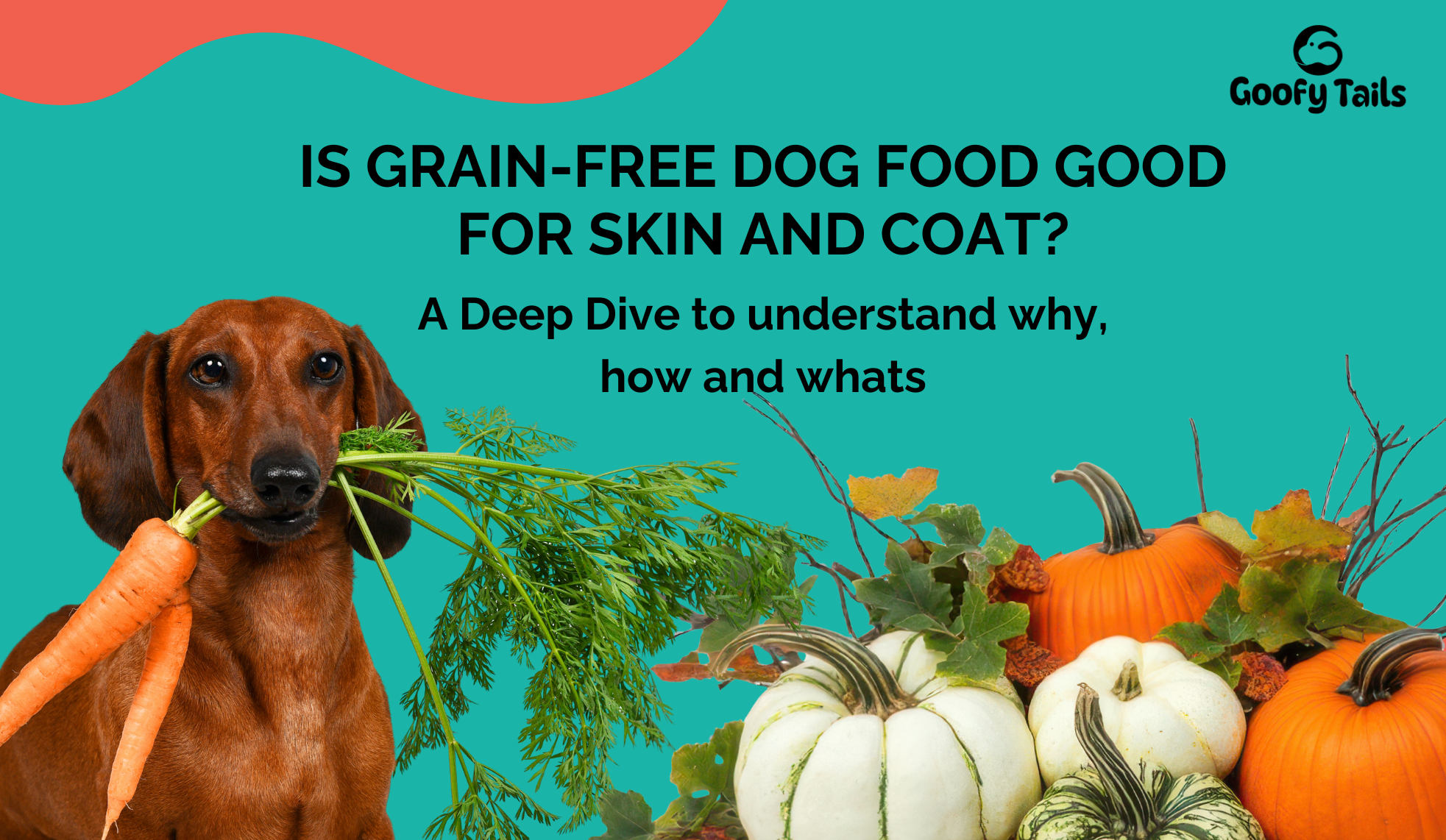 Is Grain-Free Dog Food Good for Skin and Coat Health?