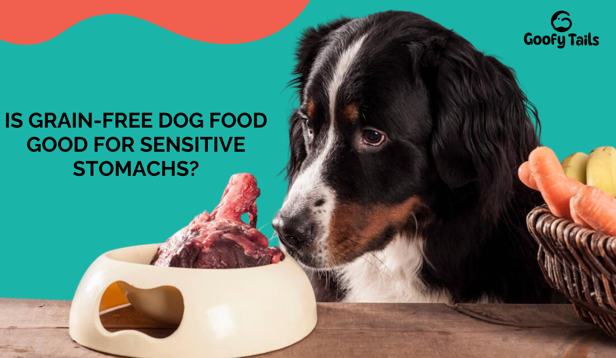 Is Grain-Free Dog Food Good for Sensitive Stomachs?