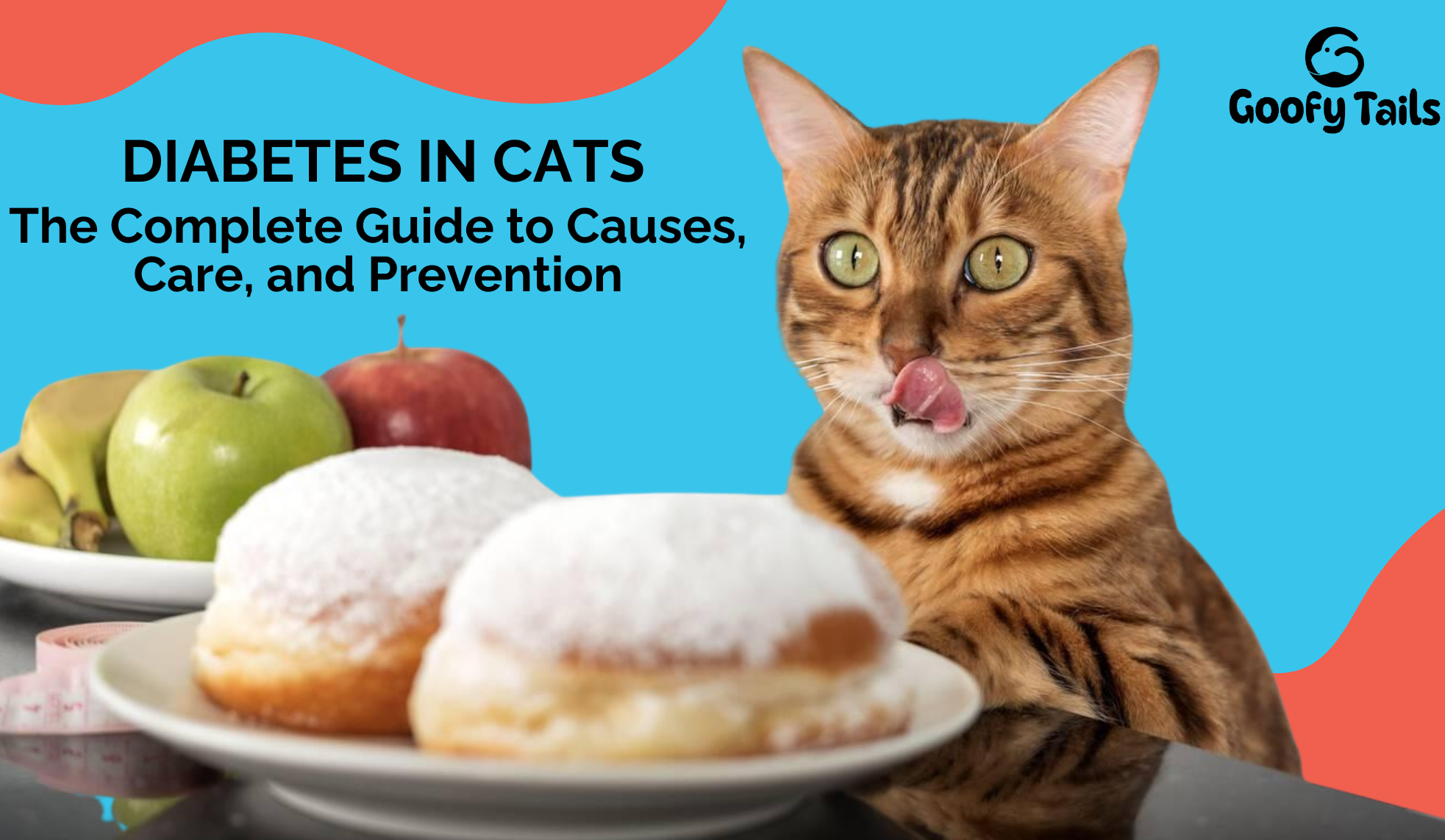 Diabetes in Cats: The Complete Guide to Causes, Care, and Prevention