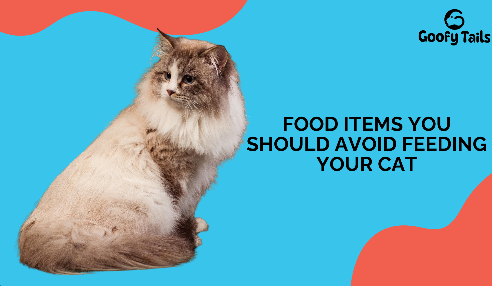 Food Items You Should Avoid Feeding Your Cat