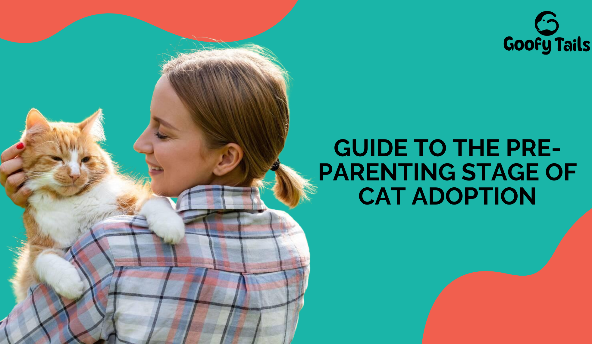 Guide to the Pre-Parenting Stage of Cat Adoption