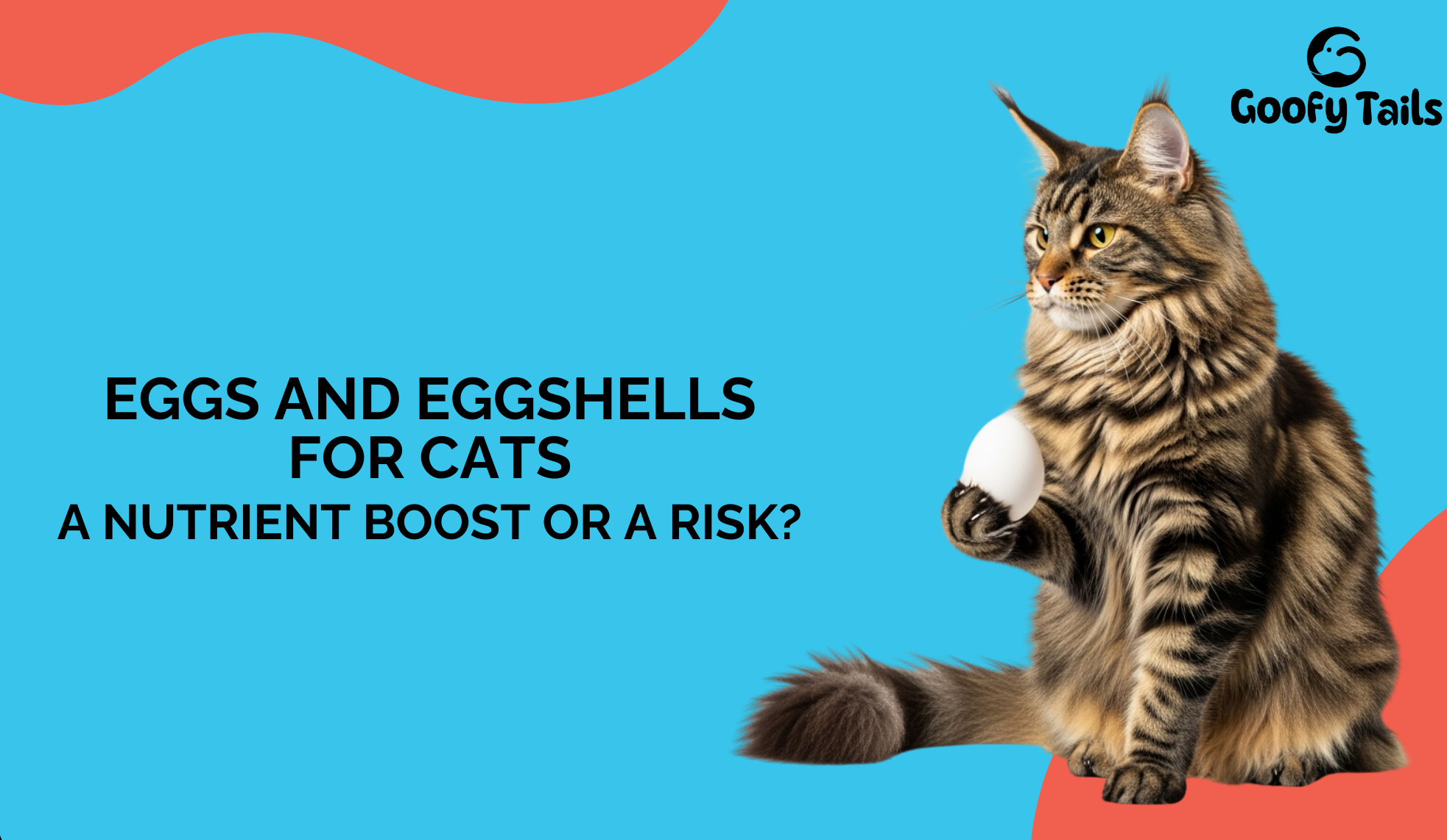 Eggs and Eggshells for Cats: A Nutrient Boost or a Risk?