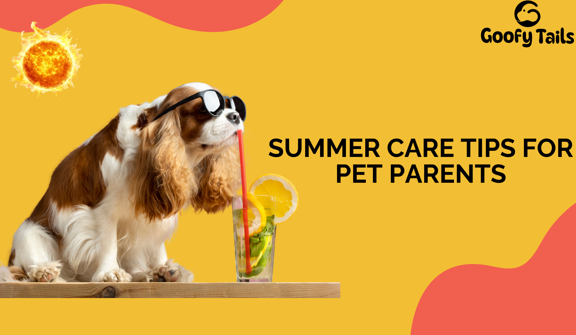 Summer Care Tips for Pet Parents