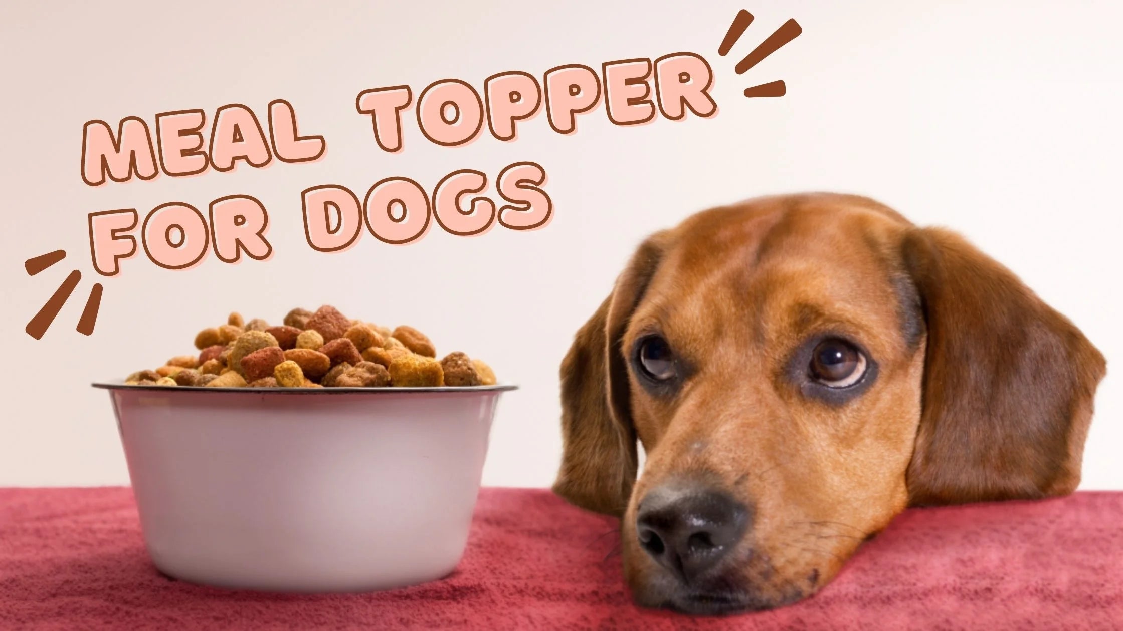 meal topper for dogs