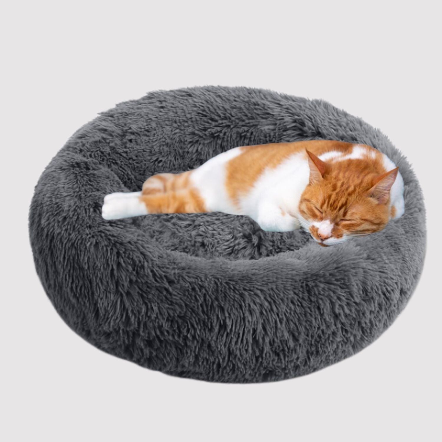 Cat Beds, Mats, Houses and Trees