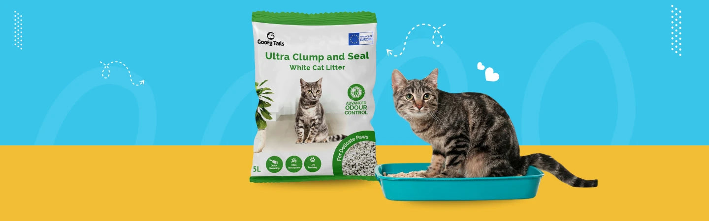 Cat Litter and Supplies