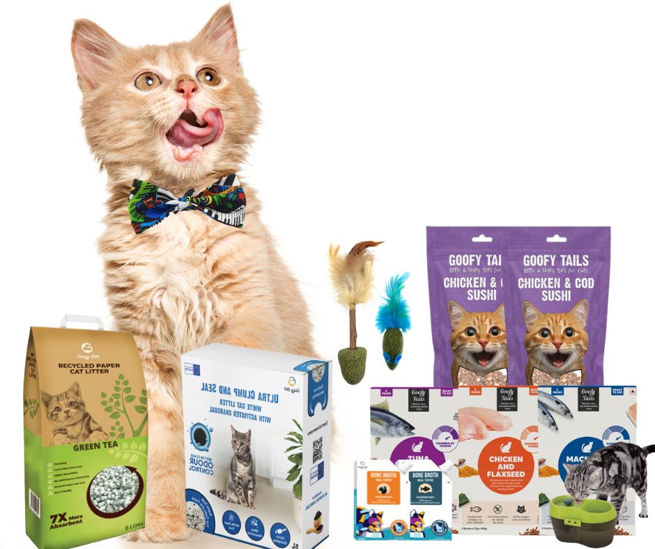 Featured Collection - Cats