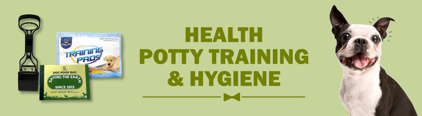 Health, Potty Training and Hygiene