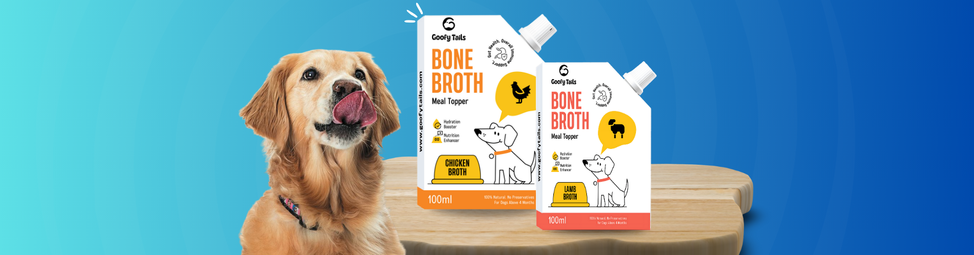 bone broth for dogs