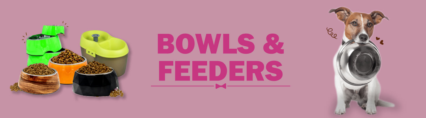 Bowls and Feeders