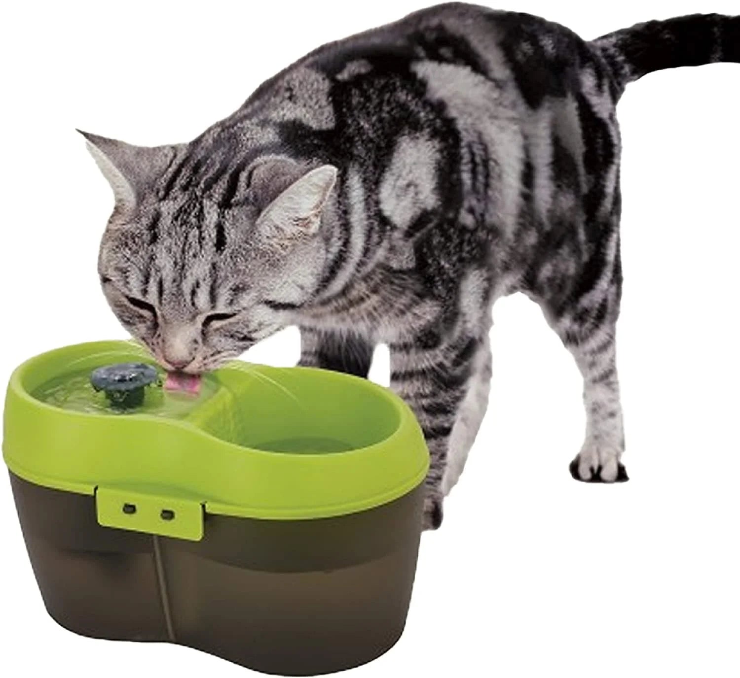 cat water fountain from goofytails.com