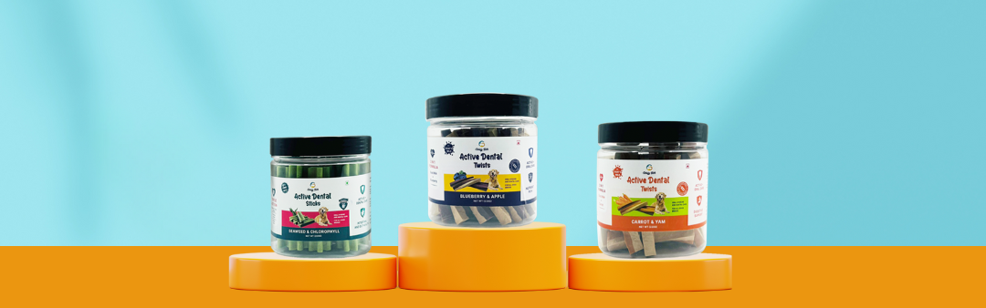 Dental Care and Healthy Treats