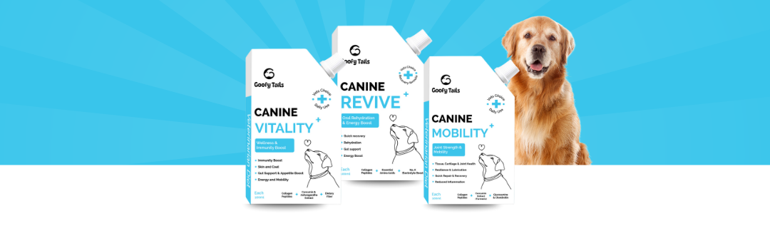 Supplements and Wellness for Dogs