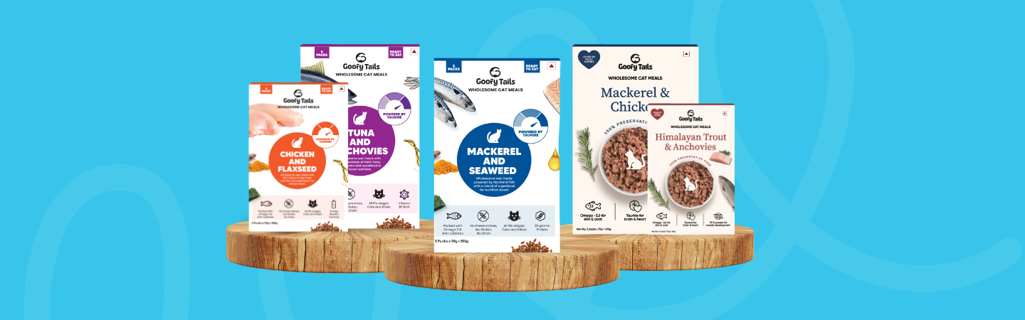 cat food from goofytails.com