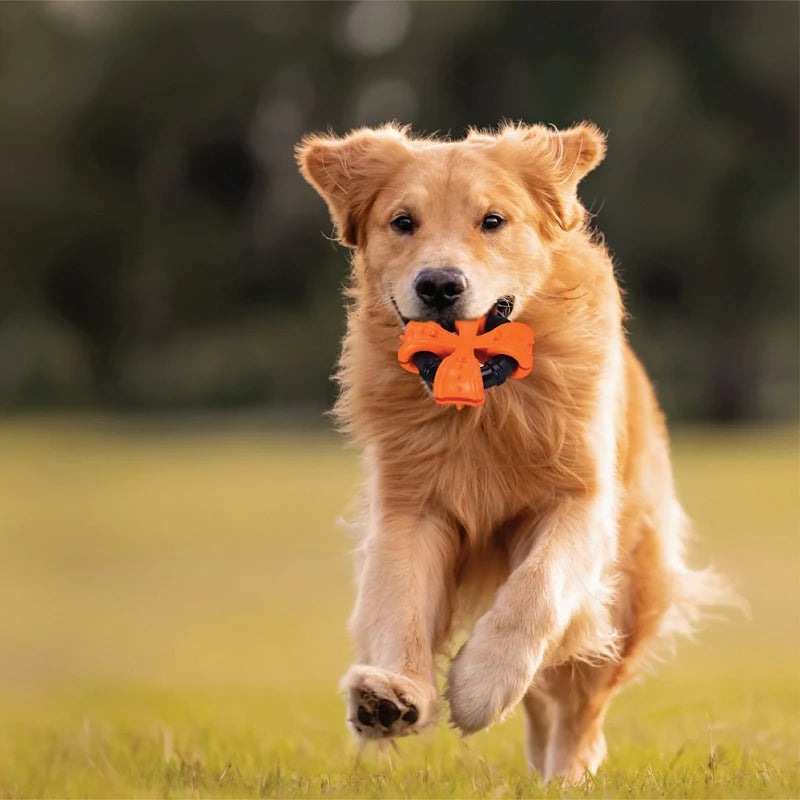 Dog chew toys