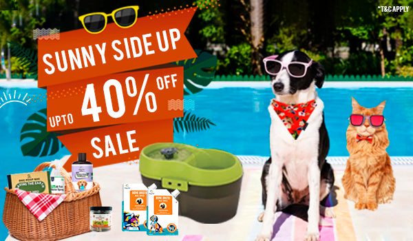 Sunny Side Up Sale!