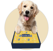 Personalized Goofy Box For Dogs and Cats form goofytails.com