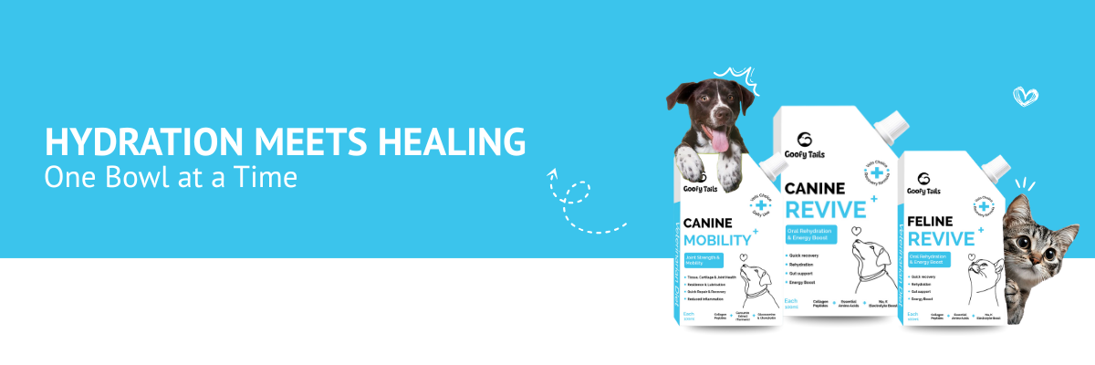 Supplements & Wellness- Cat