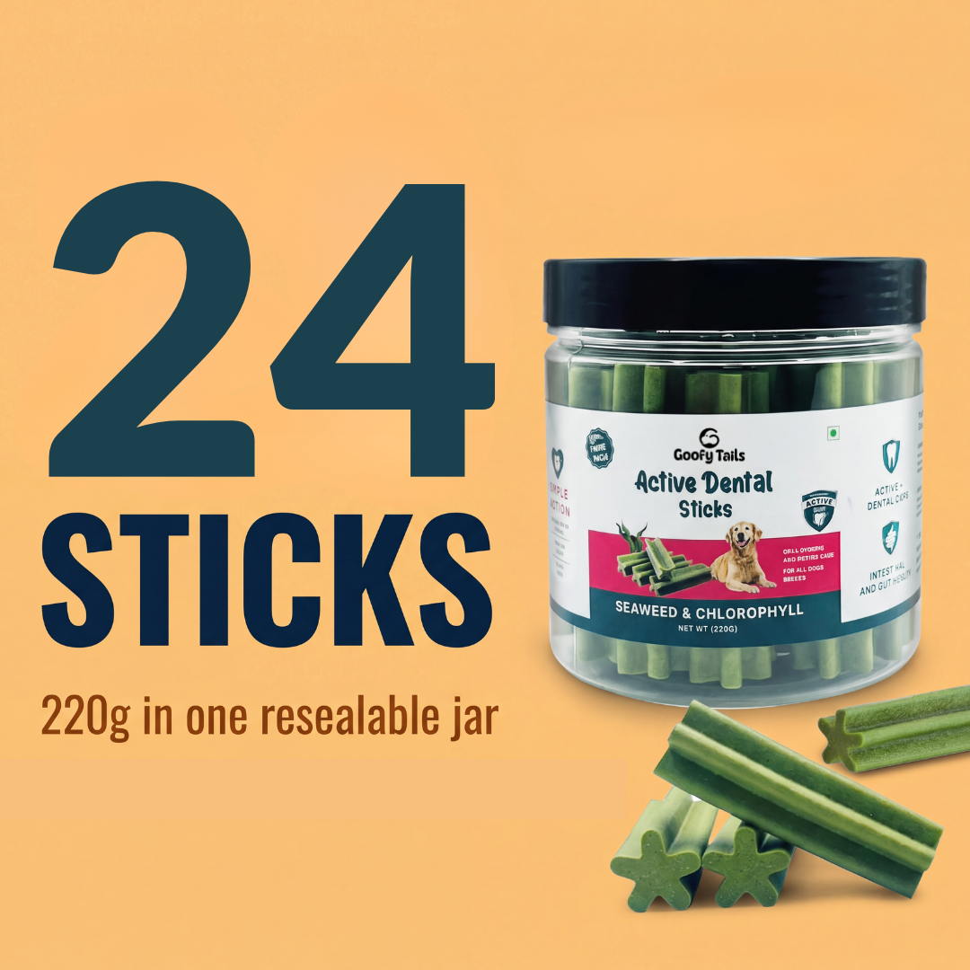 Oral Care Active Dental Vegetarian Dog Treat ( Seaweed, 24 Sticks)