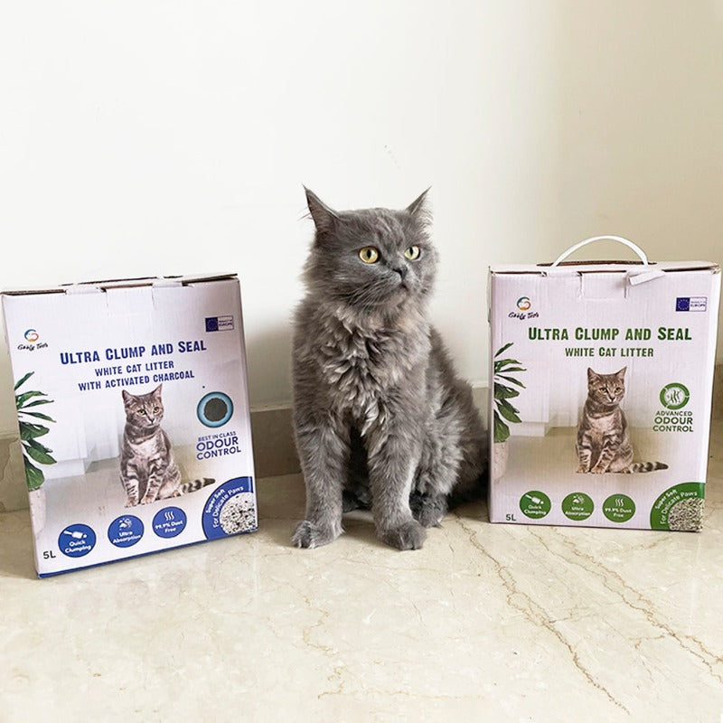 a grey persian cat seating with packkets of Goofy Tails White Bentonite Clumping Cat Litter Combo for Cats and Kittens-Unscented+Activated Charcoal Cat Litter