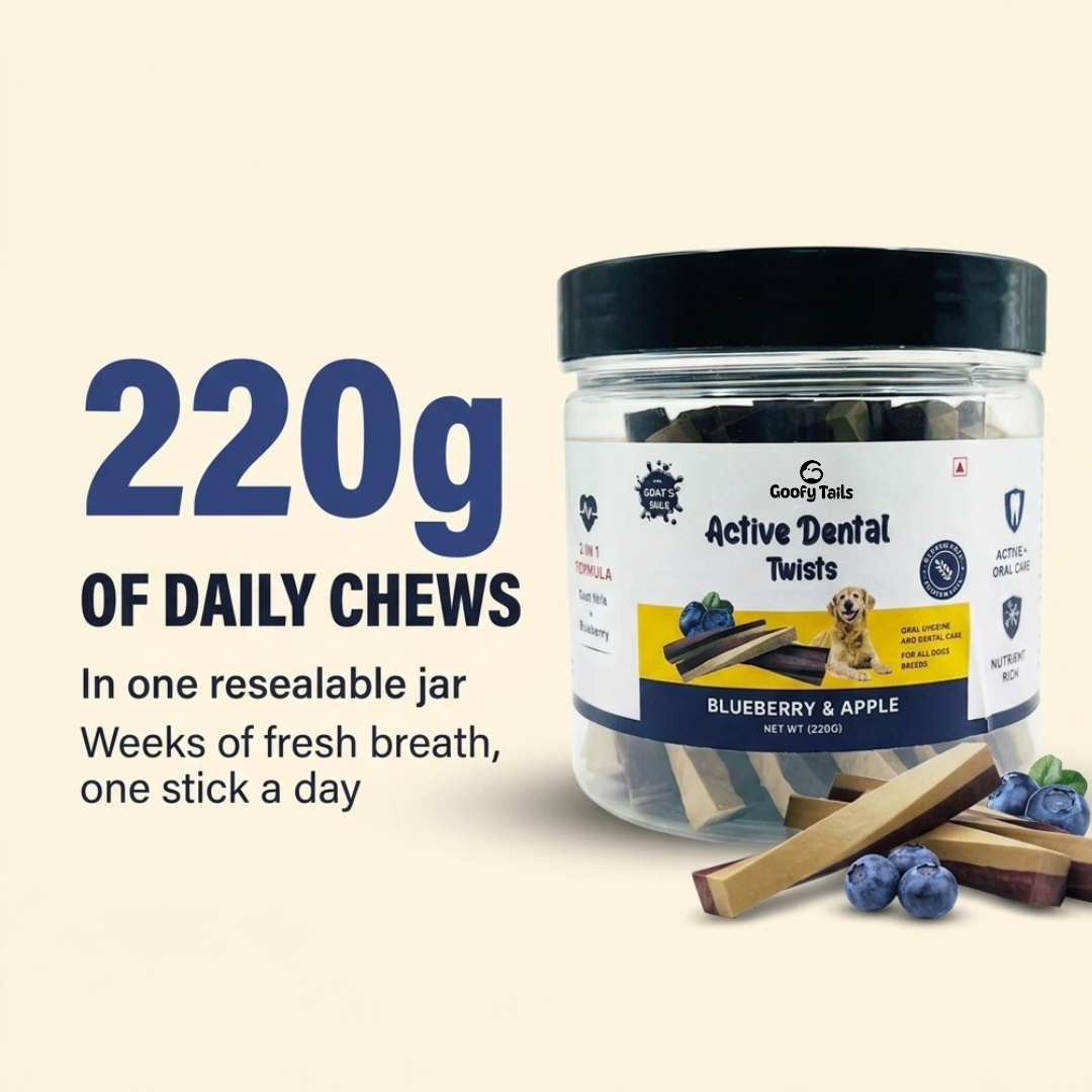 Goofy Tails Active Dental Sticks | Dog Treats Non-Vegetarian | Dental Sticks for Dogs (Blueberry & Apple)
